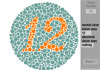 Color Vision screenshot
