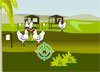 Stop Bird Flu screenshot