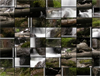 Forest Waterfall screenshot