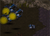 StarCraft - War of Honor 