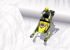 SkiDoo TT