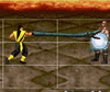 Kombat Fighters