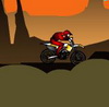 Canyon Ryders