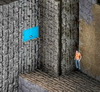 Wall Walker