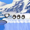 Polar Pwnd
