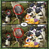 Shaun The Sheep Difference