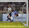 Ragdoll Goalkeeper