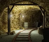 Old Gold Mine