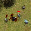 Drows Fury