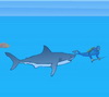 Shark Bait