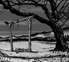 Morbid 2