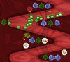 Bowels Physics TD