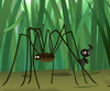Ants Evening