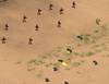 Desert Moon