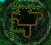 Root Your Way